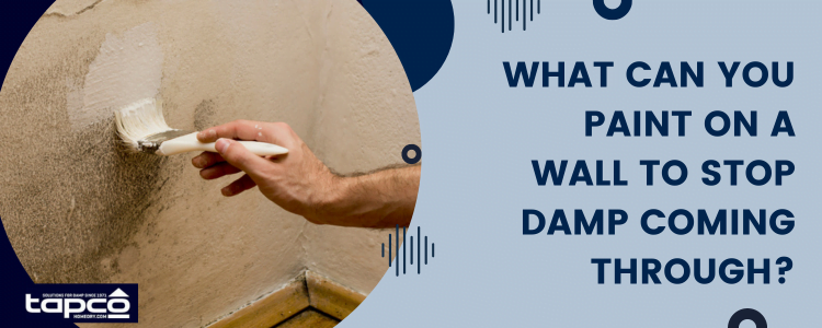 Breathable Paint For Damp Walls A Complete Guide