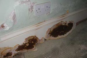 Dry rot skirting