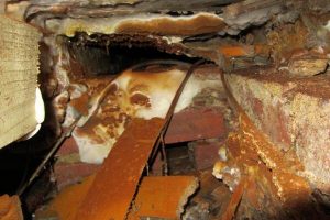 Dry rot subfloor timbers