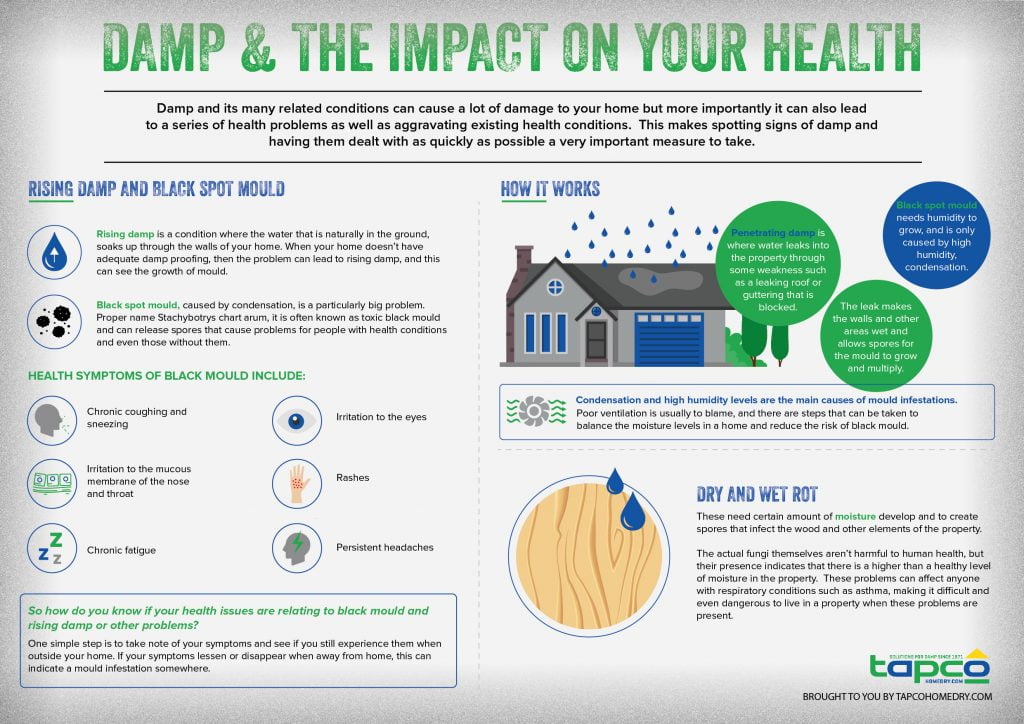 Your Health – How Can Damp Have An Impact? - Tapco HomeDry