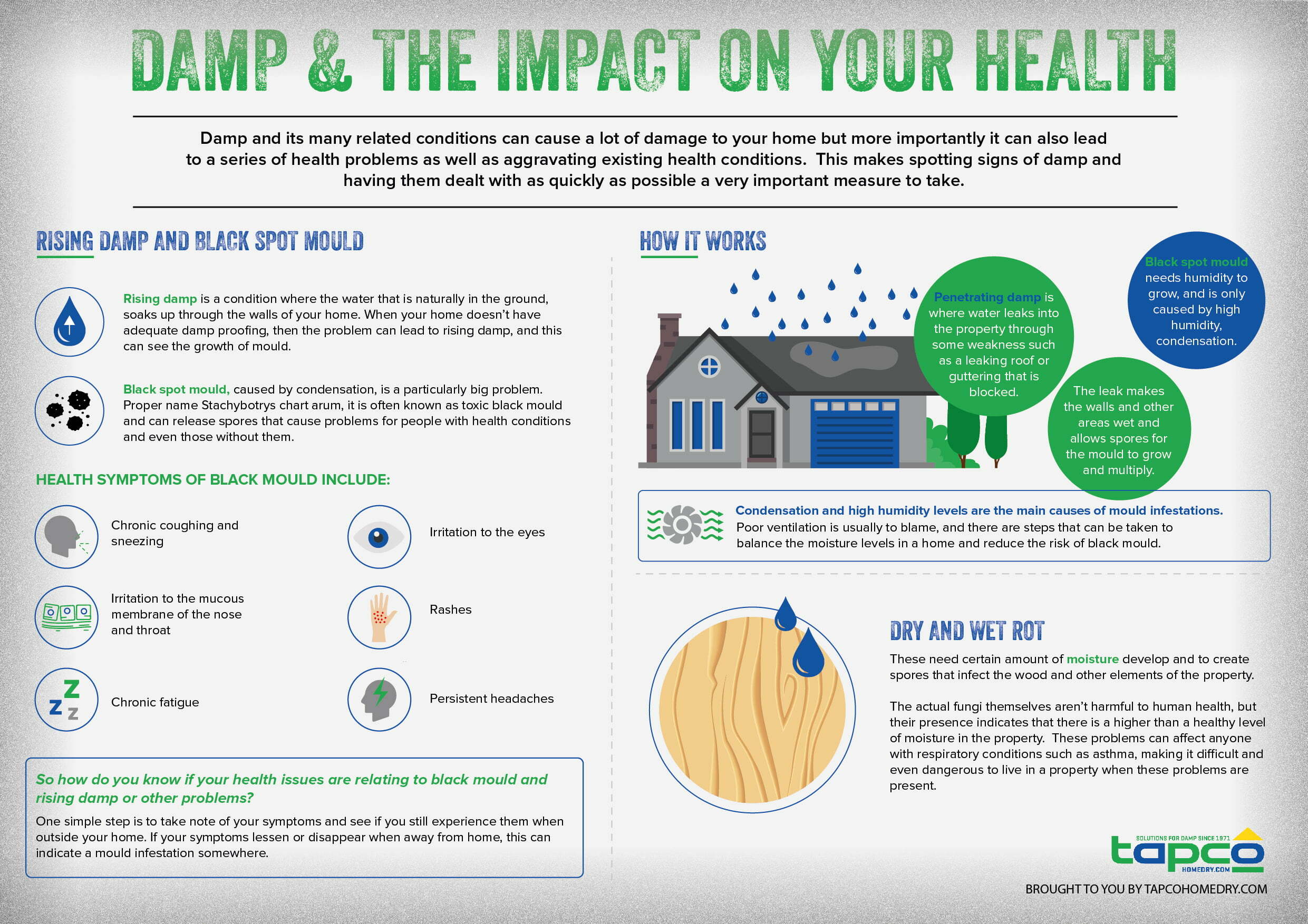 Damp health Infographic 