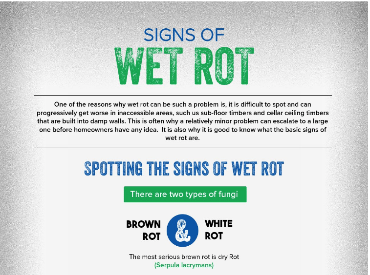 wet rot help