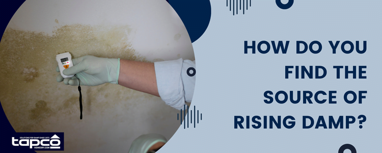 How To Fix Rising Damp | Tapco HomeDry