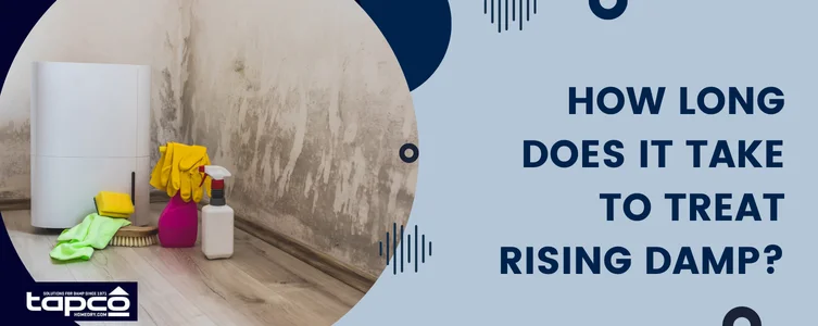 How long does it take to treat rising damp